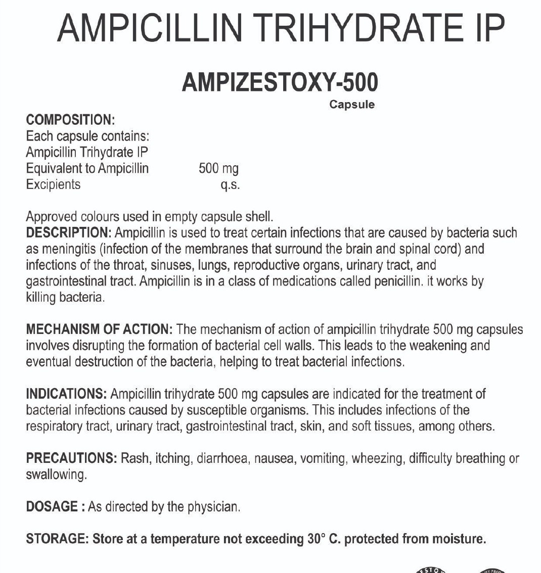AMPIZESTOXY -500 CAPSULES